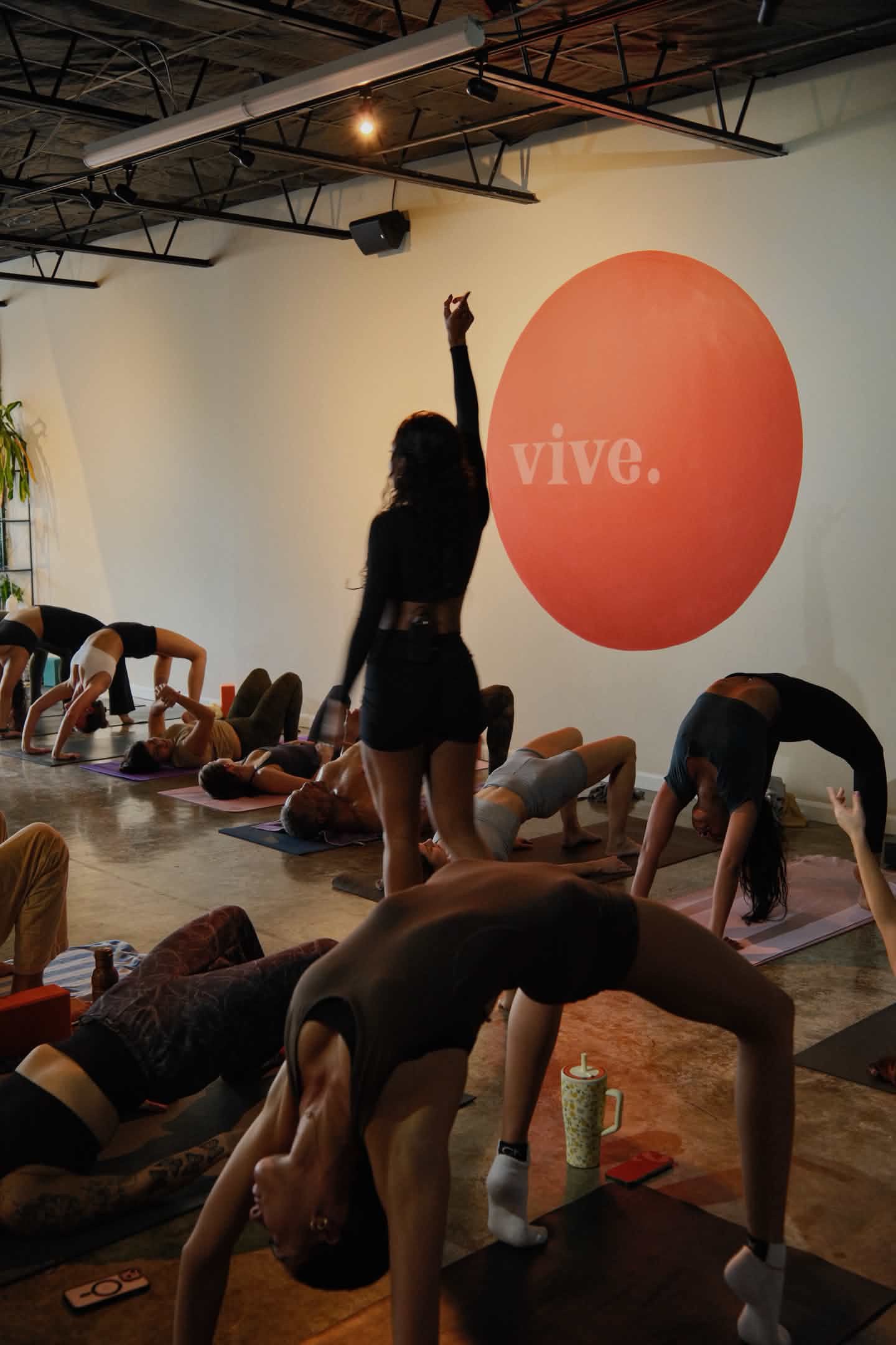 Anyssa (Vinyasa Yoga)